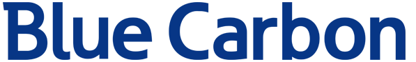 Blue Carbon — Официально в РФ